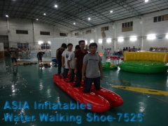 Largest Inflatable Water Playground, Huge Inflatable Water Walking Shoes  with Business Openning Plan